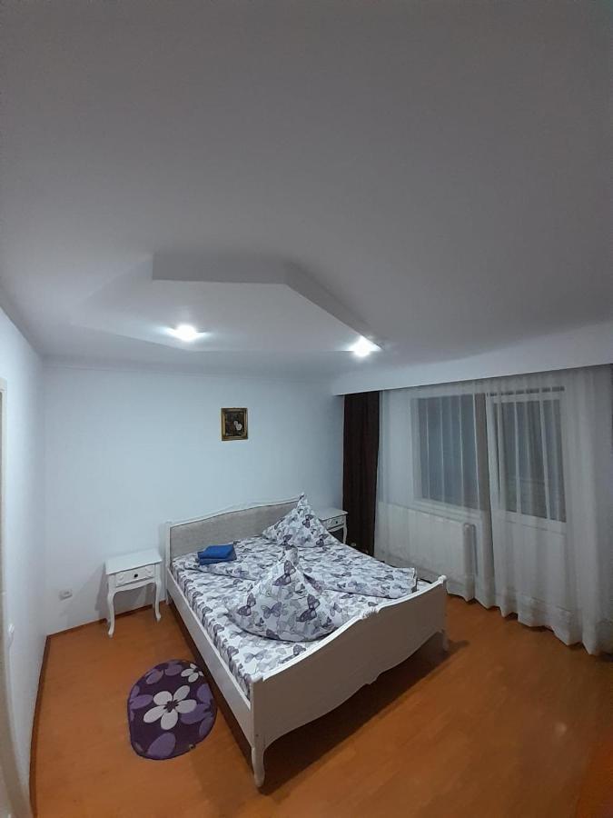 Hotel Casa Dany Vatra Dornei Exterior foto